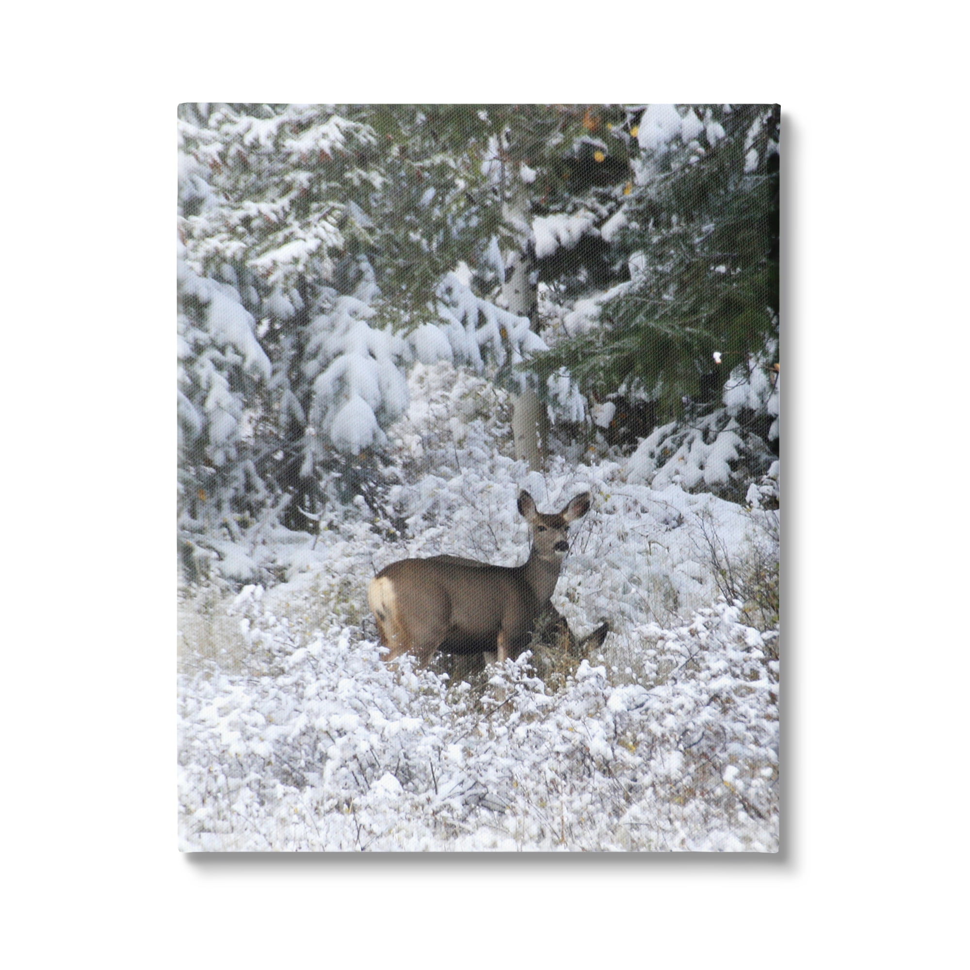 Stupell Industries Deer in Winter Trees Animals & Insects Photography Gallery Wrapped Canvas Print Wall Art, 36 x 48