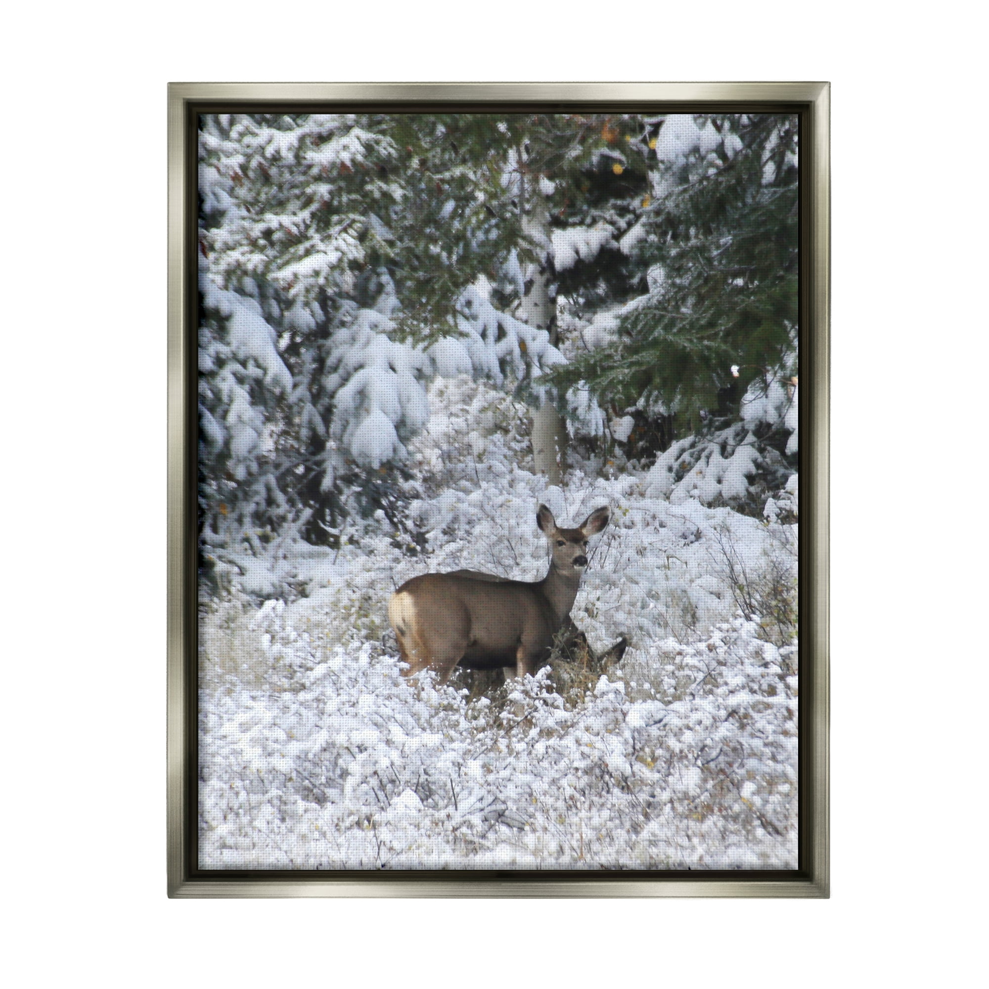 Stupell Industries Deer in Winter Trees Animals & Insects Photography Gray Floater Framed Art Print Wall Art, 25 x 31