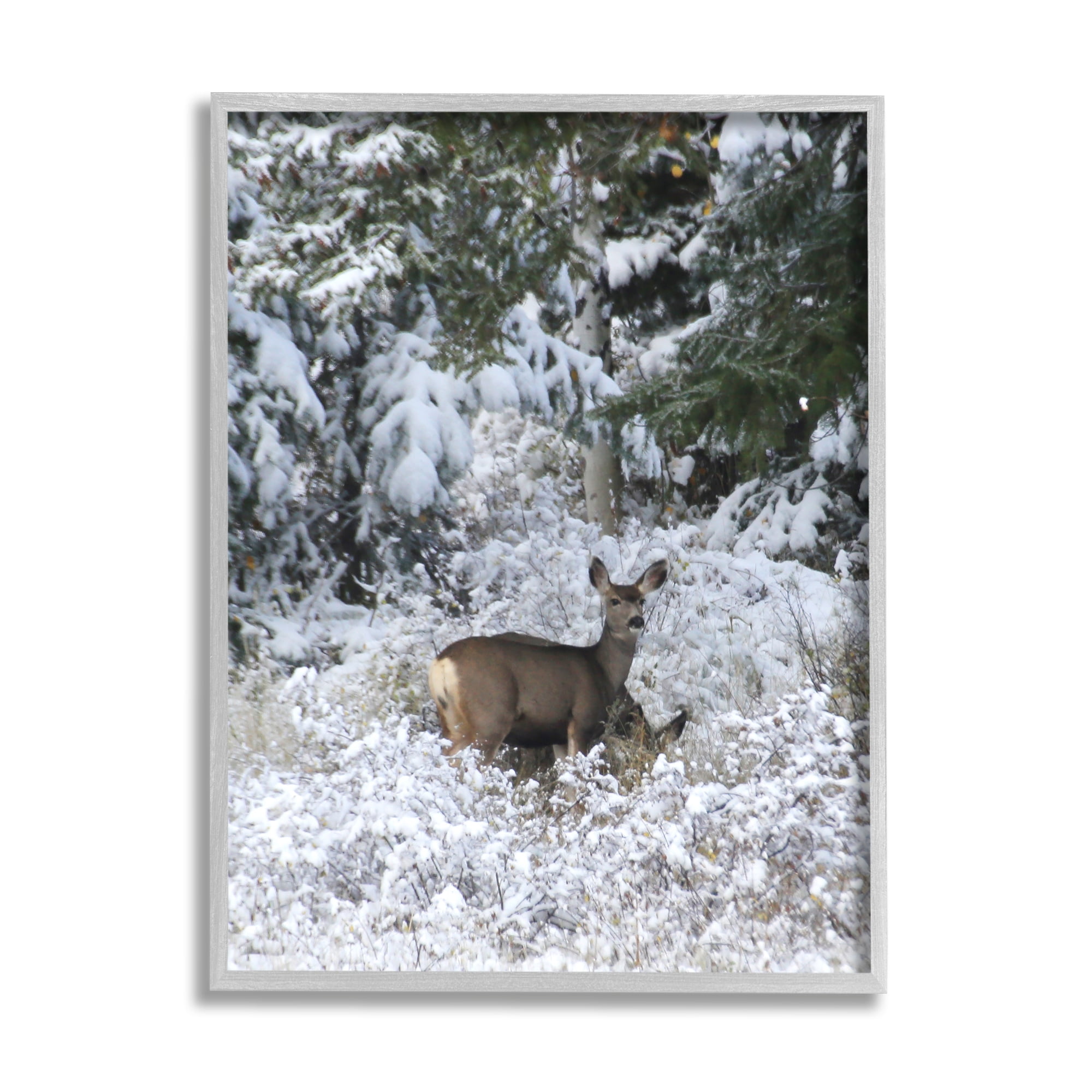 Stupell Industries Deer in Winter Trees Animals & Insects Photography Gray Framed Art Print Wall Art, 24 x 30