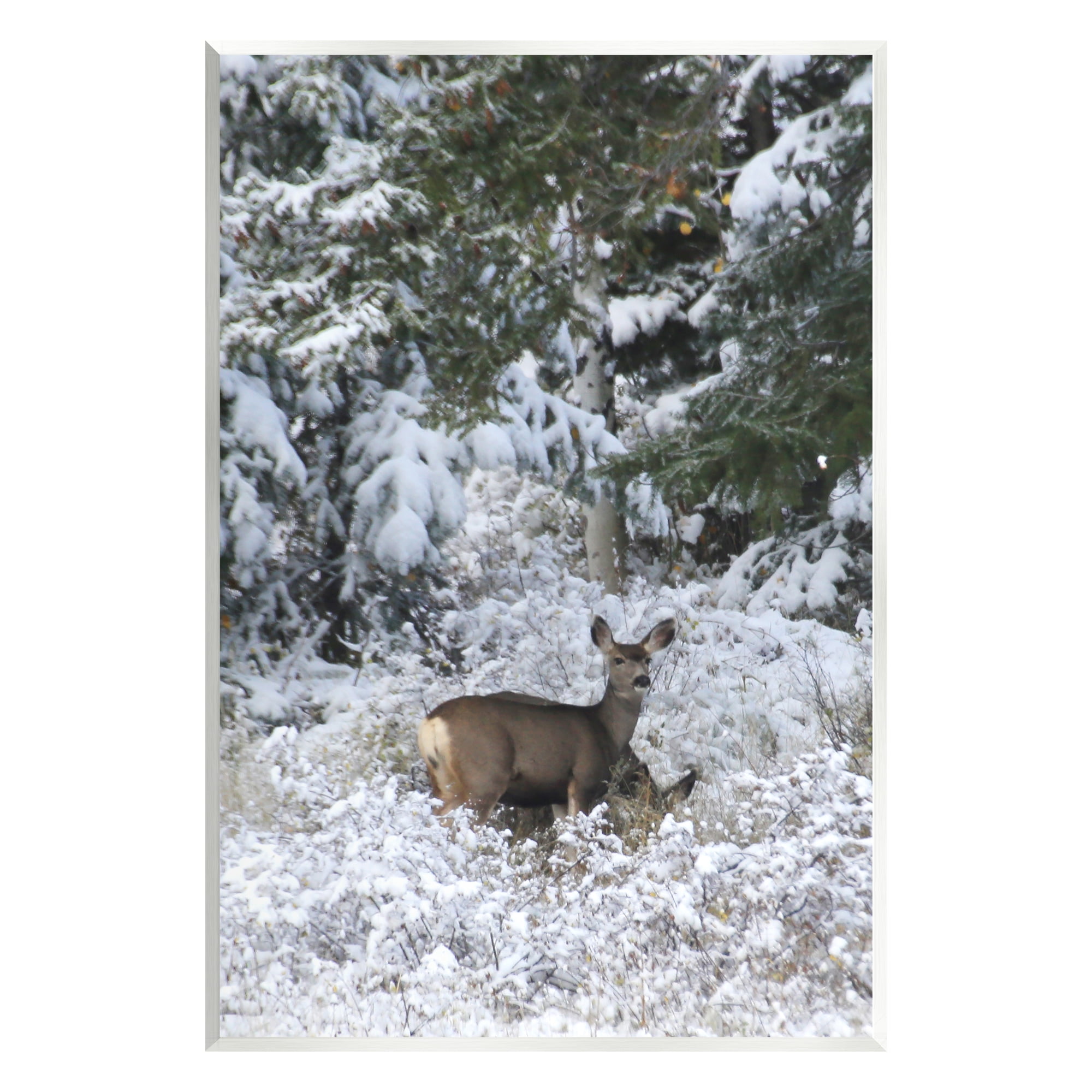 Stupell Industries Deer in Winter Trees Animals & Insects Photography Unframed Art Print Wall Art, 10 x 15