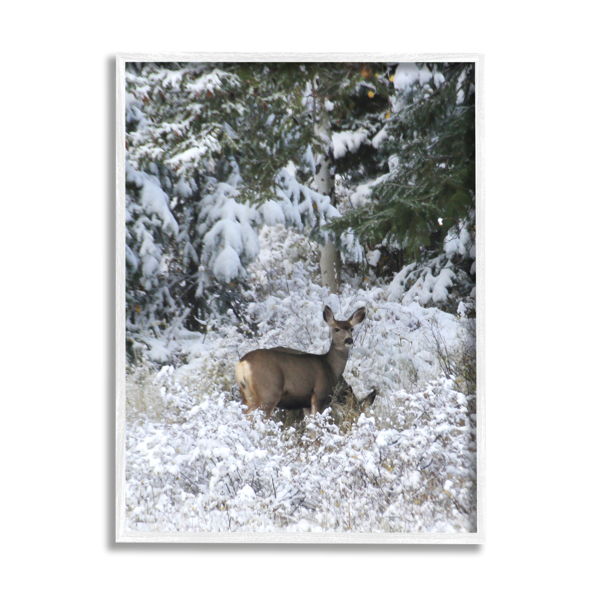 Stupell Industries Deer in Winter Trees Animals & Insects Photography White Framed Art Print Wall Art, 11 x 14