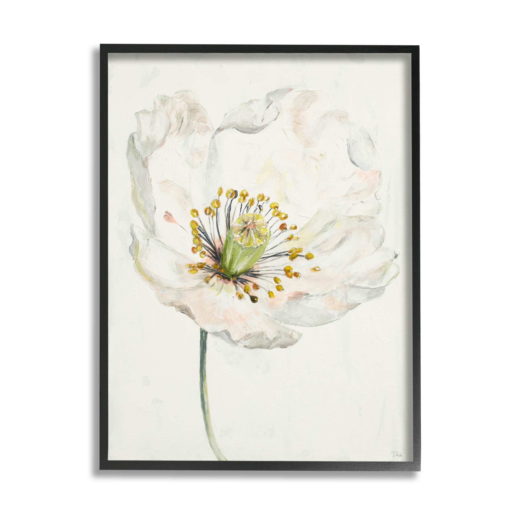 Stupell Industries Delicate Beauty White Flower Graphic Art Black Framed Art Print Wall Art, Design by Patricia Pinto