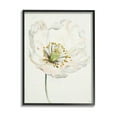 thumbnail image 1 of Stupell Industries Delicate Beauty White Flower Graphic Art Black Framed Art Print Wall Art, Design by Patricia Pinto, 1 of 7