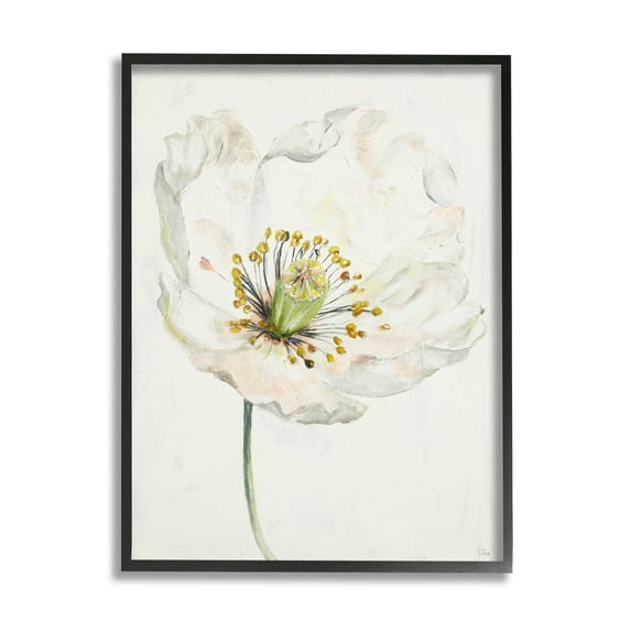 Stupell Industries Delicate Beauty White Flower Graphic Art Black Framed Art Print Wall Art, Design by Patricia Pinto