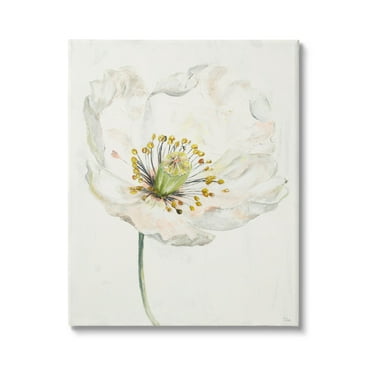 Stupell Industries Delicate Beauty White Flower Graphic Art Gallery Wrapped Canvas Print Wall Art, Design by Patricia Pinto