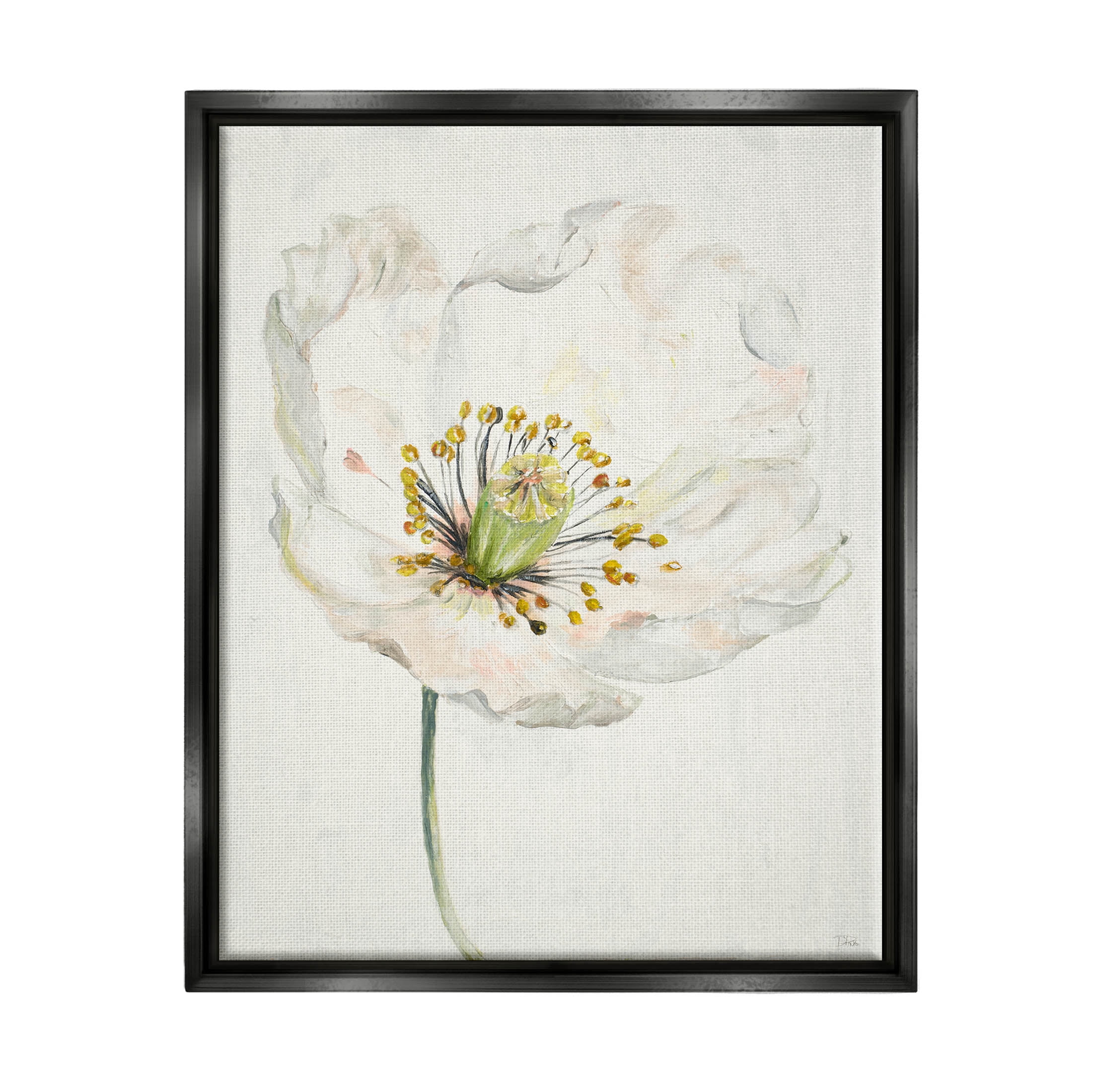 Stupell Industries Delicate Beauty White Flower Graphic Art Jet Black Floating Framed Canvas Print Wall Art, Design by Patricia Pinto