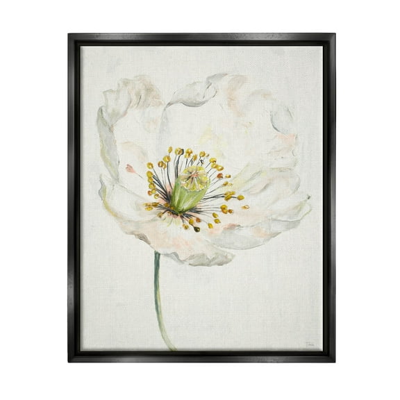 Stupell Industries Delicate Beauty White Flower Graphic Art Jet Black Floating Framed Canvas Print Wall Art, Design by Patricia Pinto