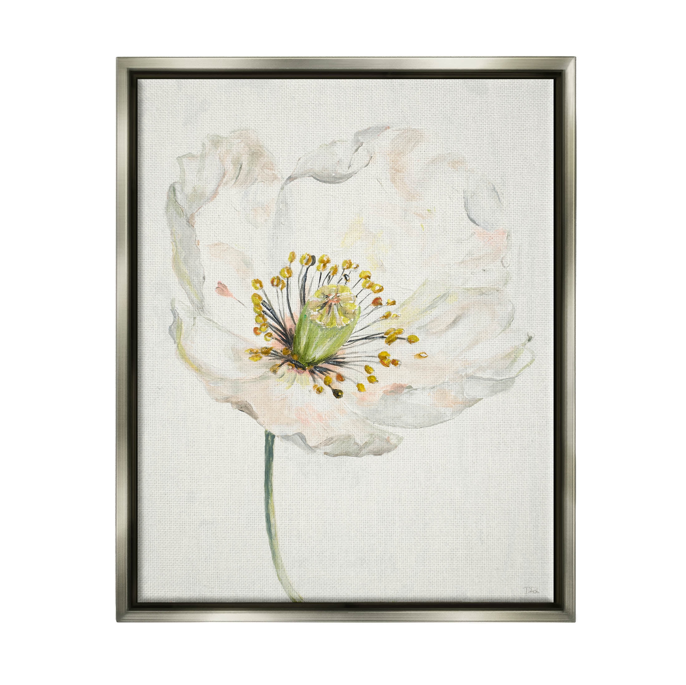 Stupell Industries Delicate Beauty White Flower Graphic Art Luster Gray Floating Framed Canvas Print Wall Art, Design by Patricia Pinto