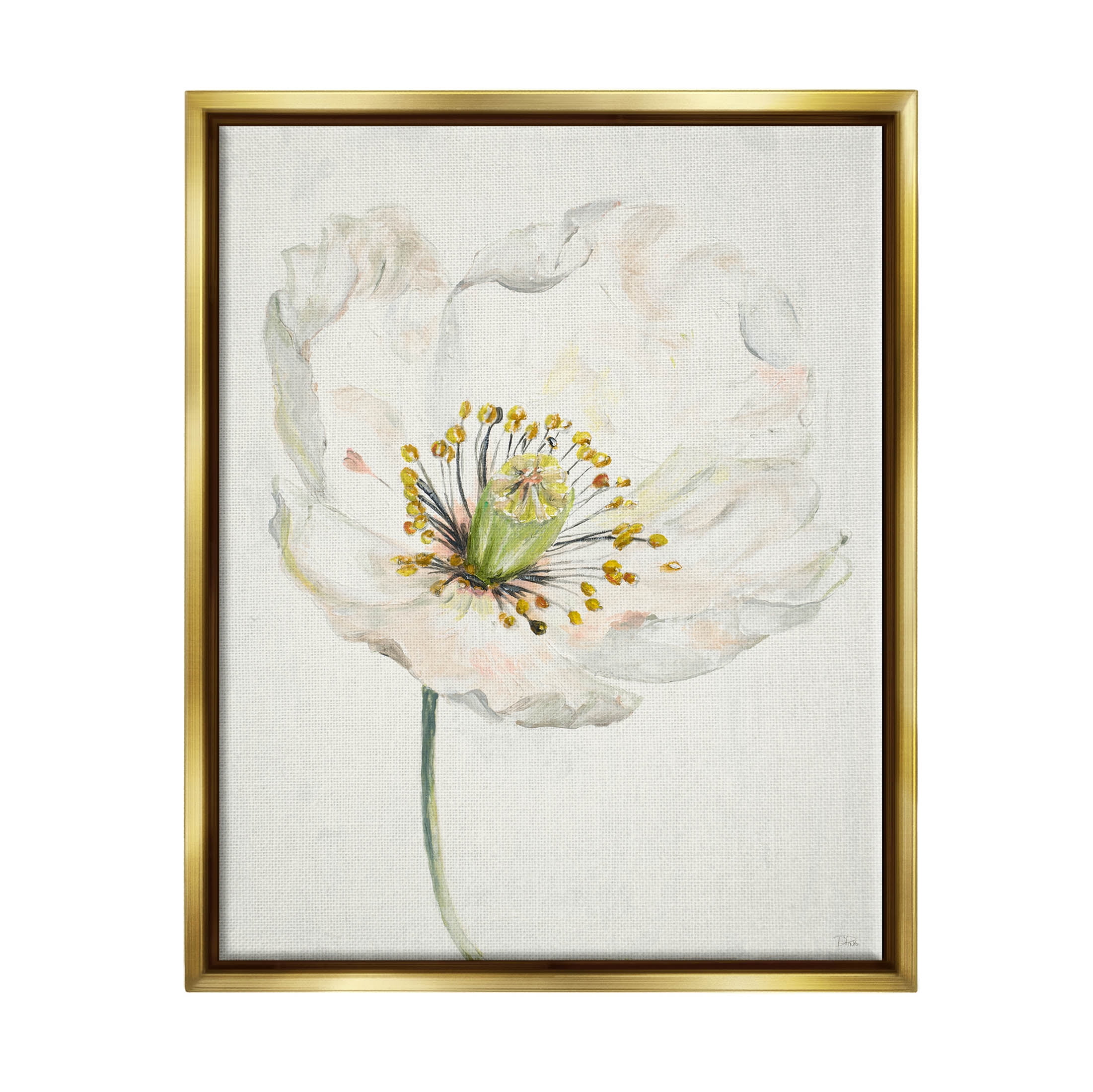 Stupell Industries Delicate Beauty White Flower Graphic Art Metallic Gold Floating Framed Canvas Print Wall Art, Design by Patricia Pinto