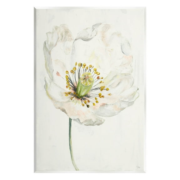Stupell Industries Delicate Beauty White Flower Graphic Art Unframed Art Print Wall Art, Design by Patricia Pinto