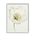 thumbnail image 1 of Stupell Industries Delicate Beauty White Flower Graphic Art White Framed Art Print Wall Art, Design by Patricia Pinto, 1 of 7