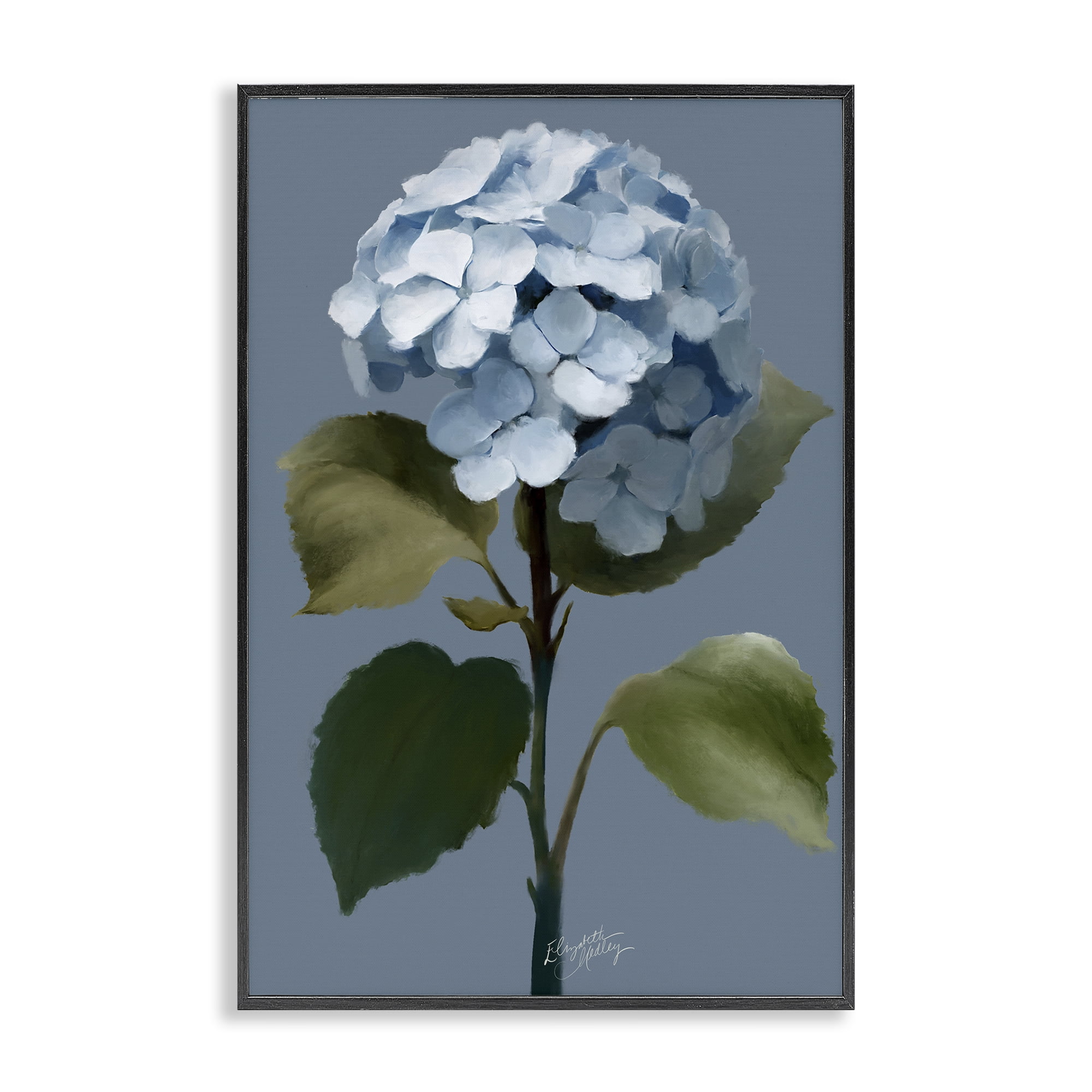 Stupell Industries Delicate Blue Hydrangea Plants & Flowers Painting Black Framed Art Print Wall Art, 20 x 30