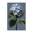 thumbnail image 1 of Stupell Industries Delicate Blue Hydrangea Plants & Flowers Painting Wrapped Canvas Art Print Wall Art, 24 x 36, 1 of 8