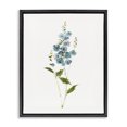 thumbnail image 1 of Stupell Industries Transitional Delicate Blue Sprigs Black Floating Frame Canvas Art, 17 x 21, by Sally Swatland, 1 of 8