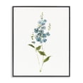 thumbnail image 1 of Stupell Industries Transitional Delicate Blue Sprigs Black Framed Giclee Art, 11 x 14, by Sally Swatland, 1 of 8