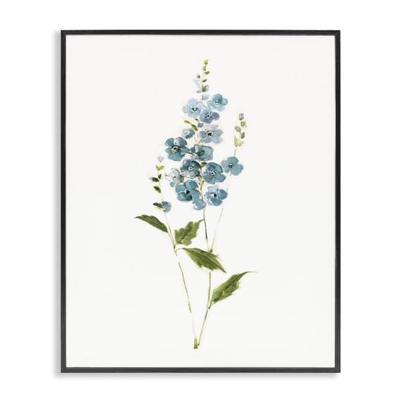 Stupell Industries Transitional Delicate Blue Sprigs Black Framed Giclee Art, 11 x 14, by Sally Swatland