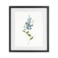 thumbnail image 1 of Stupell Industries Transitional Delicate Blue Sprigs Black Framed Print Under Glass, 13 x 16, by Sally Swatland, 1 of 8