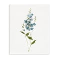 thumbnail image 1 of Stupell Industries Transitional Delicate Blue Sprigs Canvas Art, 16 x 20, by Sally Swatland, 1 of 8