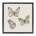 thumbnail image 1 of Stupell Industries Transitional Delicate Butterflies on Beige Black Floating Frame Canvas Art, 18 x 18, by Patricia Pinto, 1 of 8