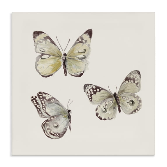 Stupell Industries Transitional Delicate Butterflies on Beige Canvas Art, 30 x 30, by Patricia Pinto
