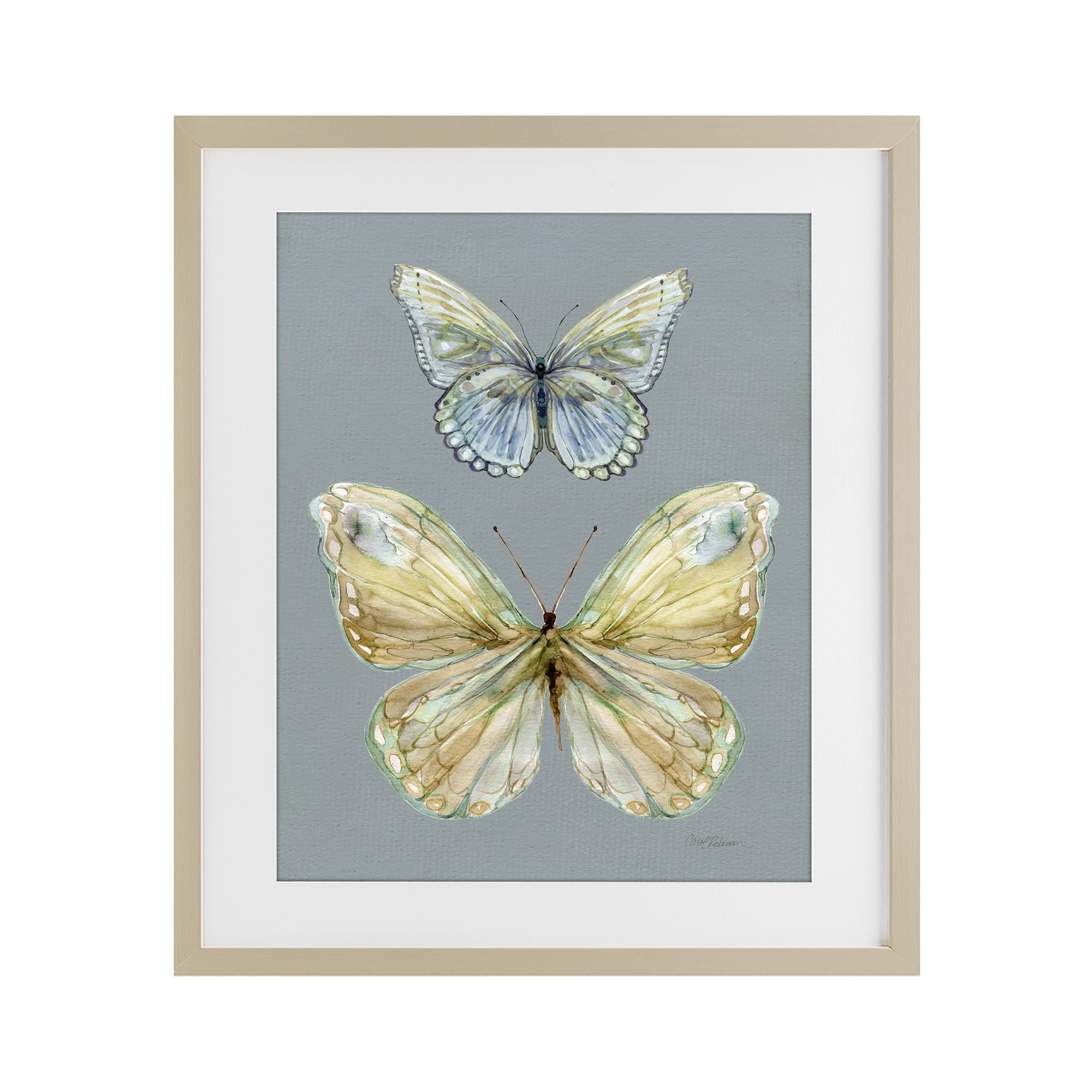 Stupell Industries Delicate Butterflies on Slate Birch Framed Print Under Glass, design by Carol Robinson