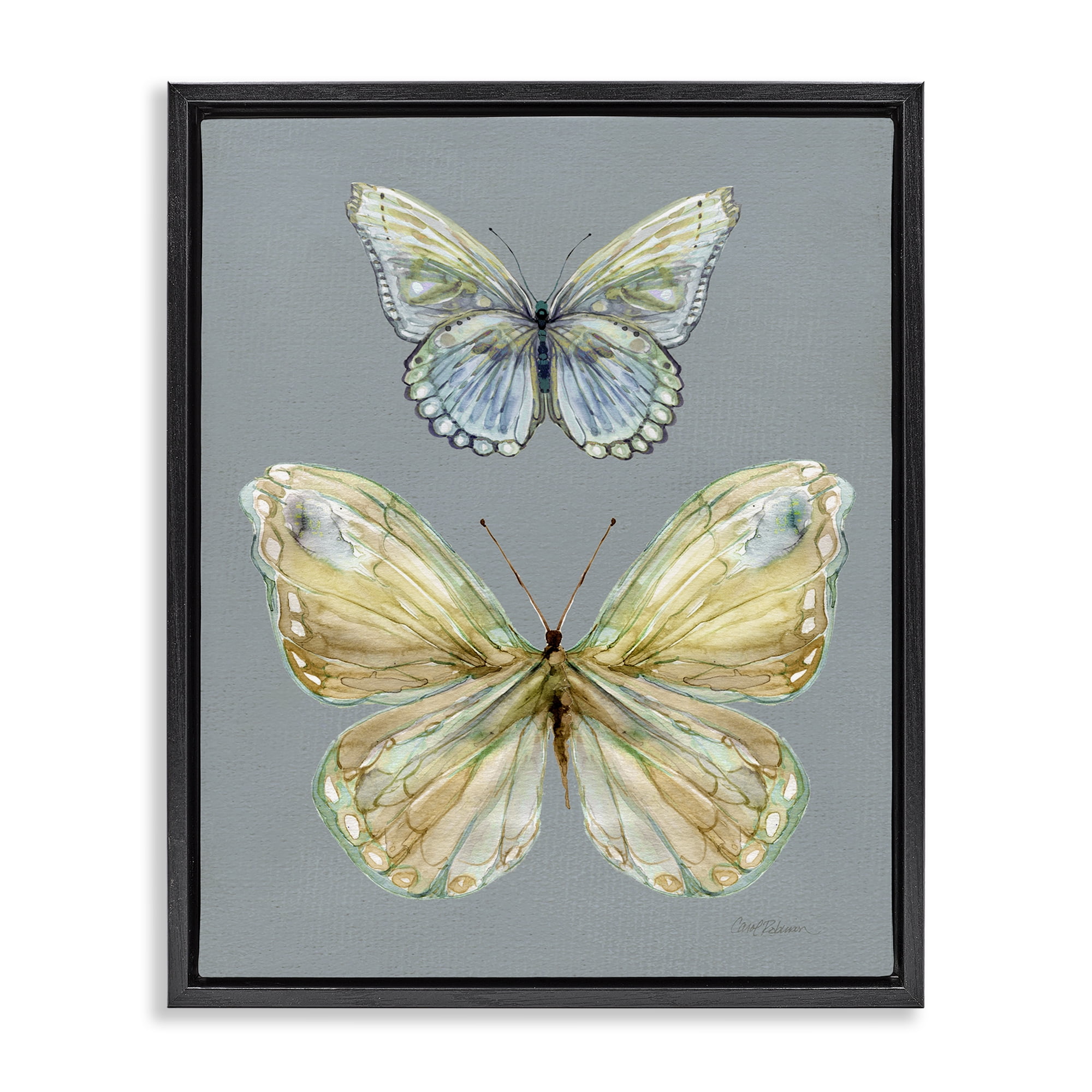 Stupell Industries Delicate Butterflies on Slate Black Framed Floater Canvas Wall Art, design by Carol Robinson
