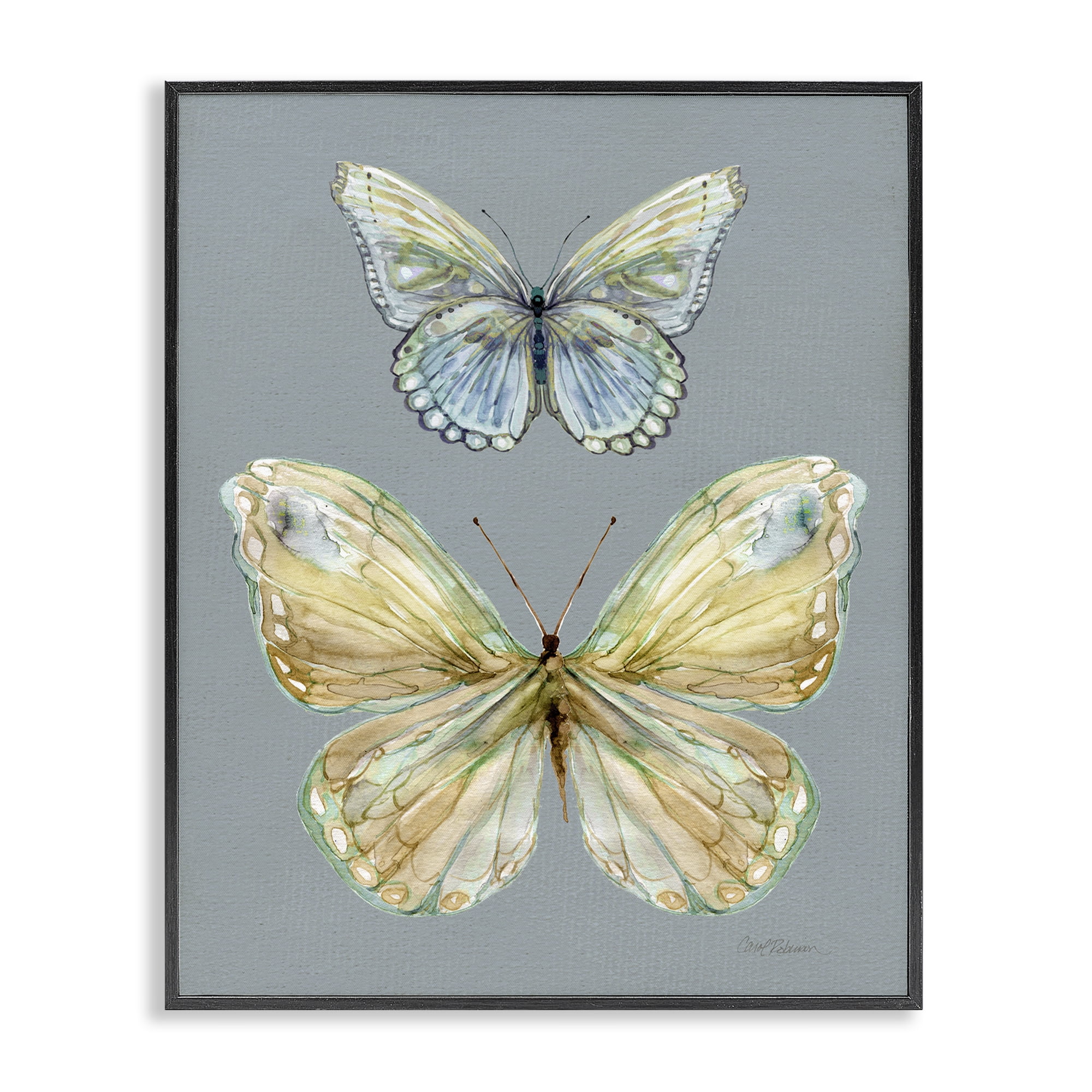 Stupell Industries Delicate Butterflies on Slate Black Framed Giclee Art, design by Carol Robinson