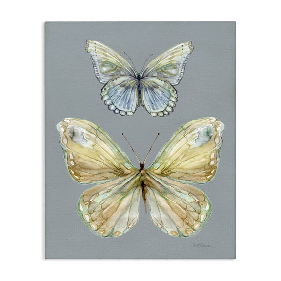 Stupell Industries Delicate Butterflies on Slate Canvas Wall Art, design by Carol Robinson