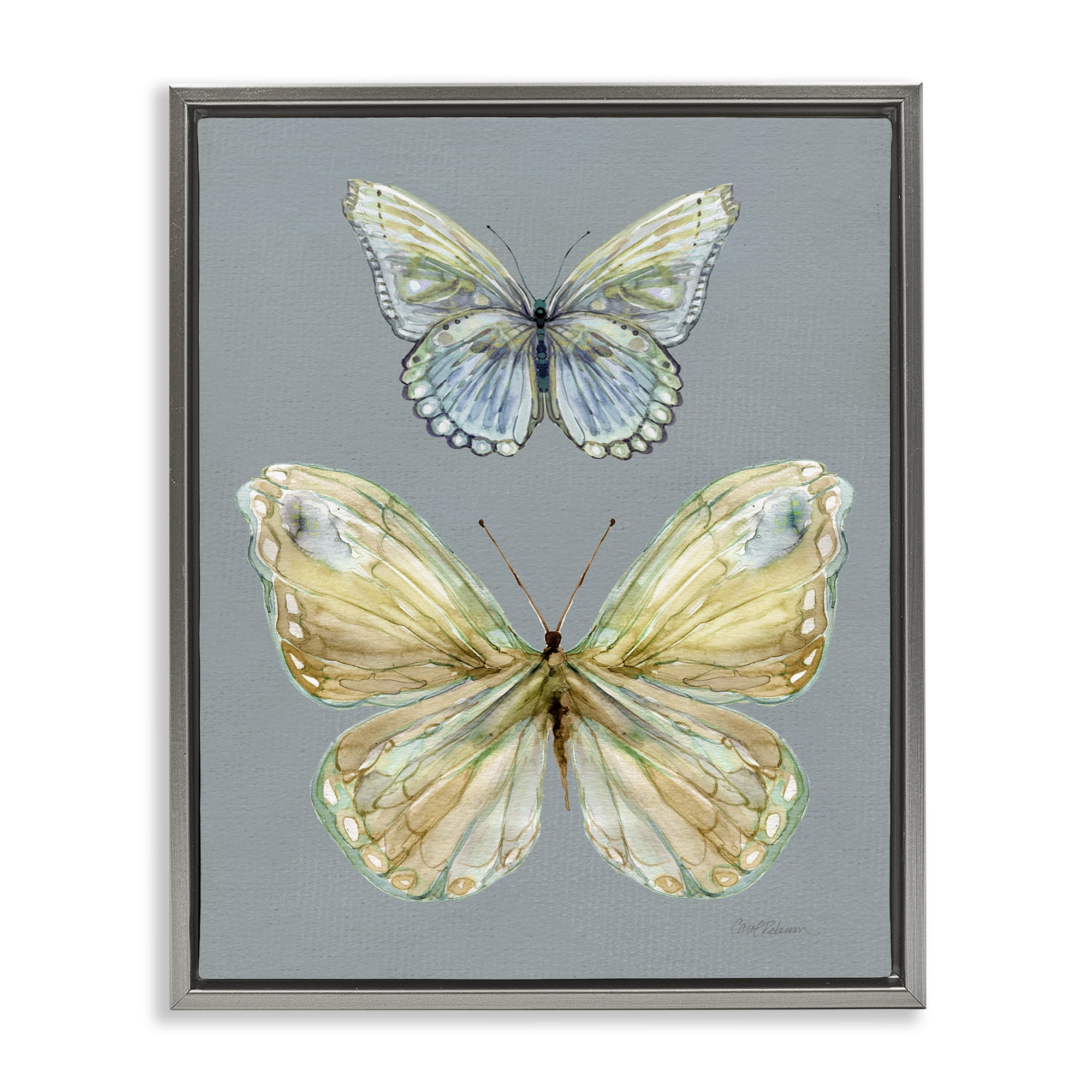 Stupell Industries Delicate Butterflies on Slate Gray Framed Floater Canvas Wall Art, design by Carol Robinson