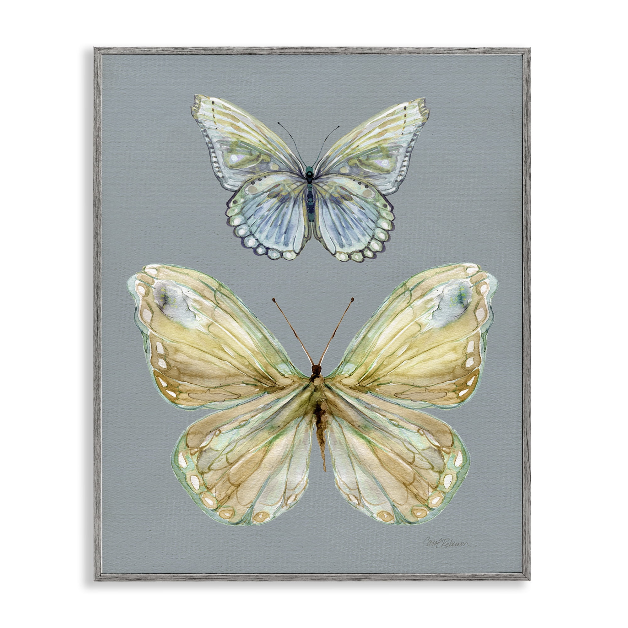 Stupell Industries Delicate Butterflies on Slate Gray Framed Giclee Art, design by Carol Robinson