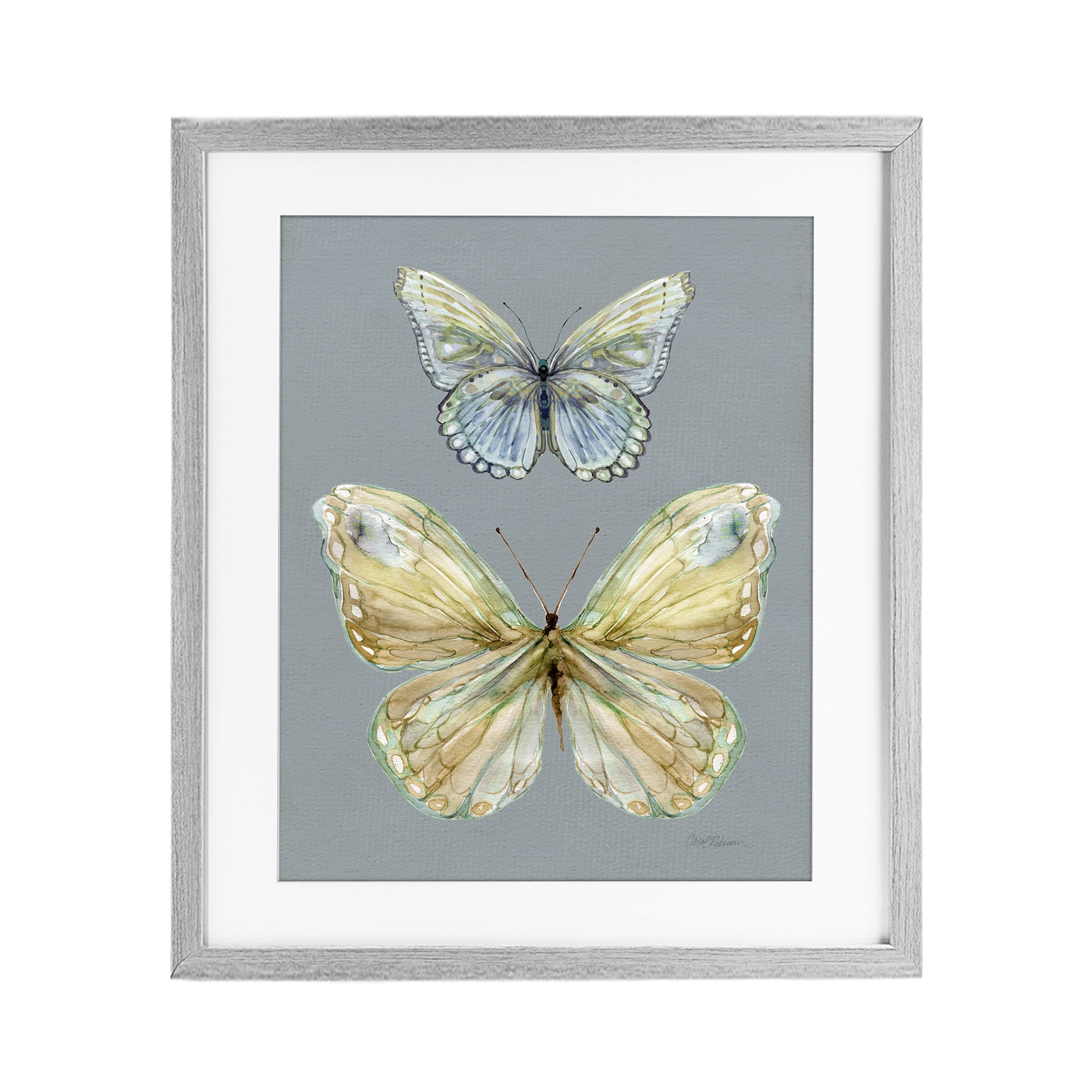 Stupell Industries Delicate Butterflies on Slate Gray Framed Print Under Glass, design by Carol Robinson