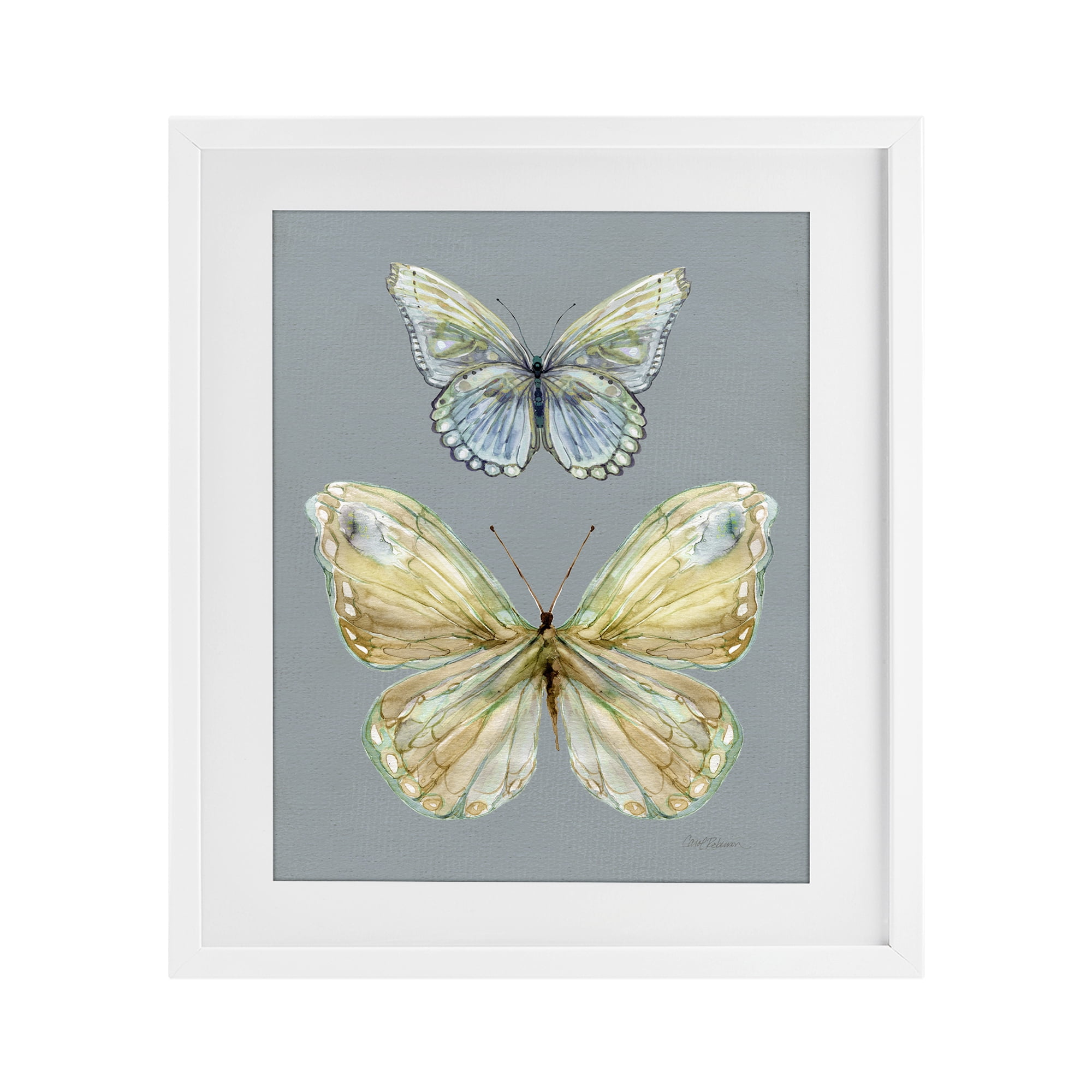 Stupell Industries Delicate Butterflies on Slate White Framed Print Under Glass, design by Carol Robinson
