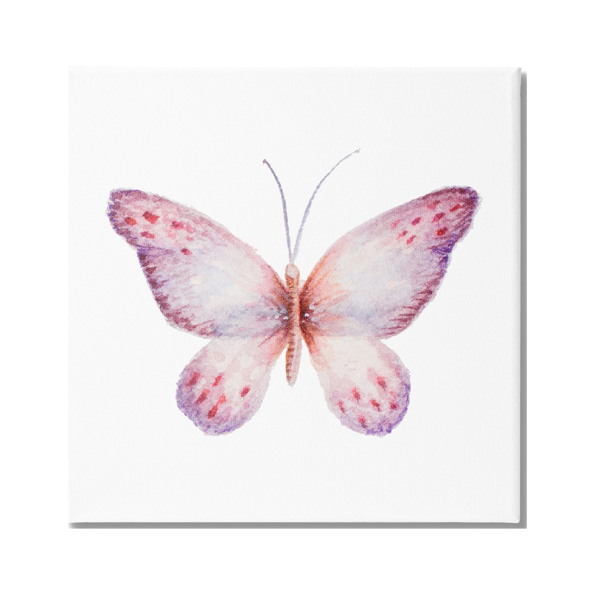 Stupell Industries Delicate Butterfly Red Spotted Wings Insect Illustration Painting Gallery Wrapped Canvas Print Wall Art, Design by Janice Gaynor
