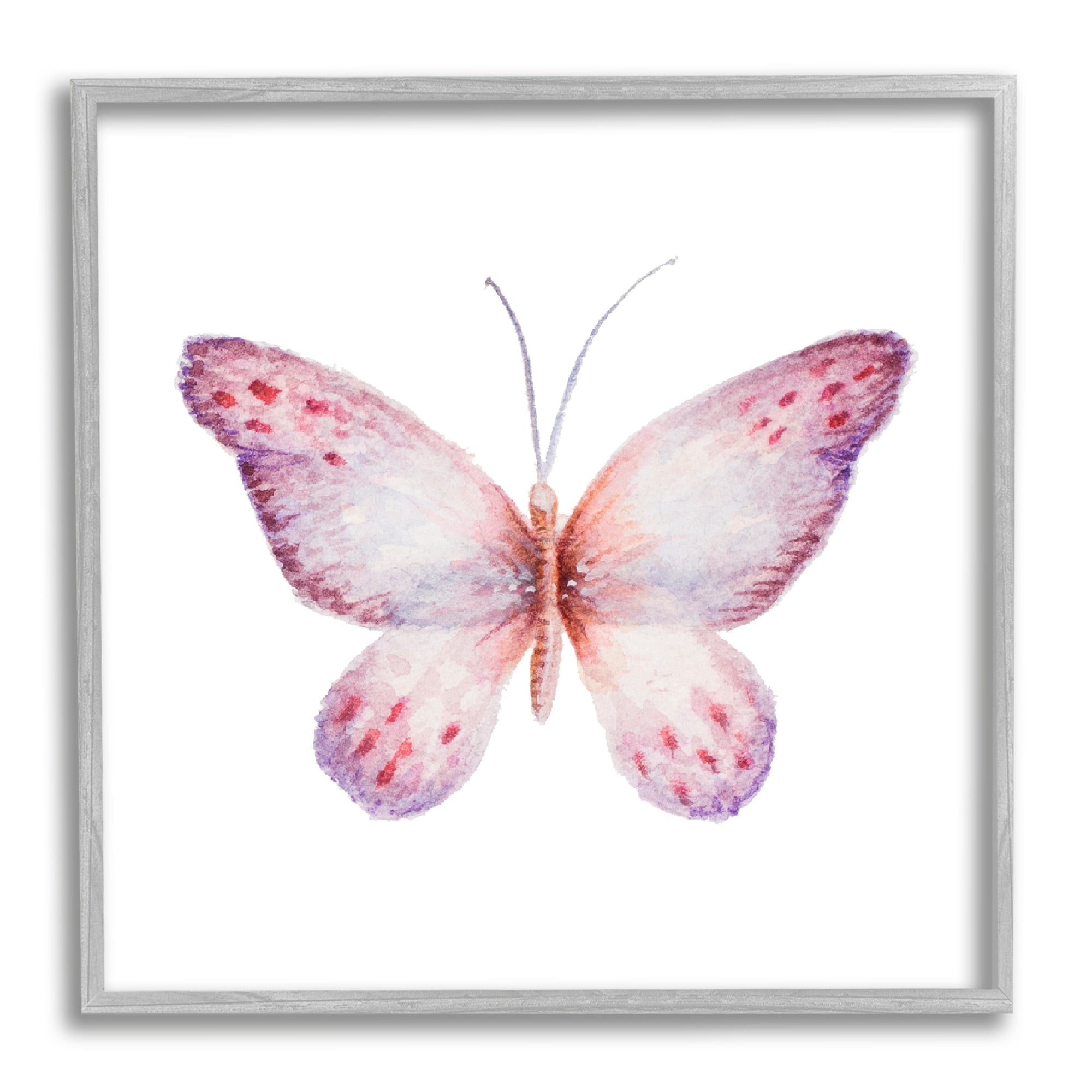 Stupell Industries Delicate Butterfly Red Spotted Wings Insect Illustration Painting Gray Framed Art Print Wall Art, Design by Janice Gaynor