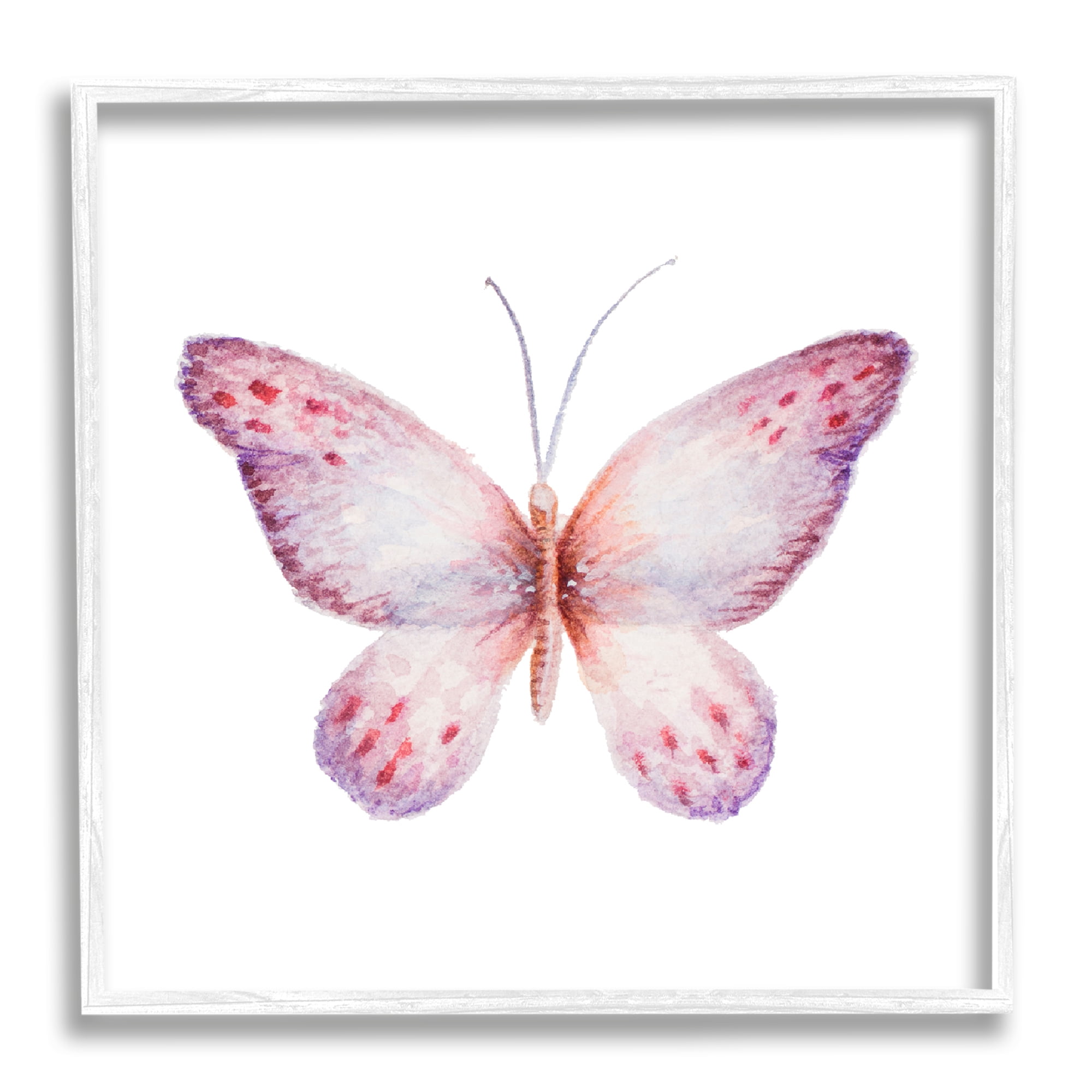 Stupell Industries Delicate Butterfly Red Spotted Wings Insect Illustration Painting White Framed Art Print Wall Art, Design by Janice Gaynor