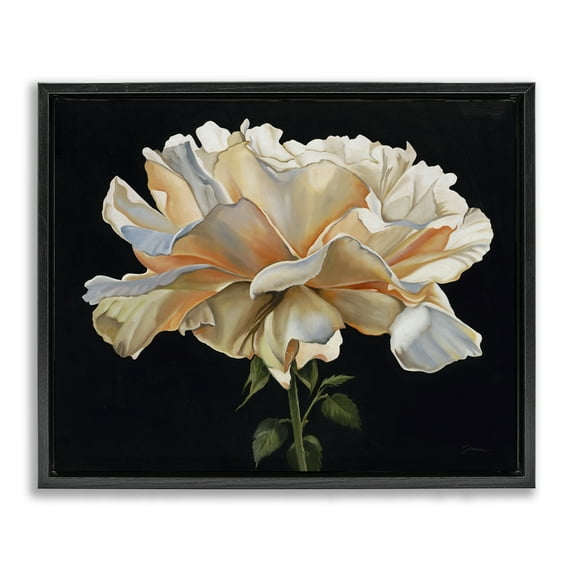 Stupell Industries Delicate Carnation Petals over Black Black Framed Floater Canvas Wall Art design by Liz Jardine, 17 x 21