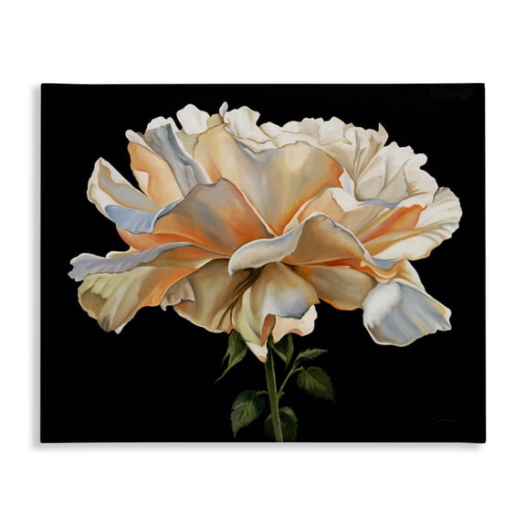 Stupell Industries Delicate Carnation Petals over Black Canvas Wall Art design by Liz Jardine, 24 x 30