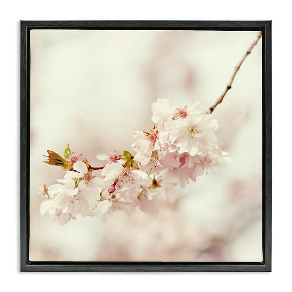 Stupell Industries Delicate Cherry Blossom Plants & Flowers Photography Black Floater Framed Canvas Art Print Wall Art, 18 x 18