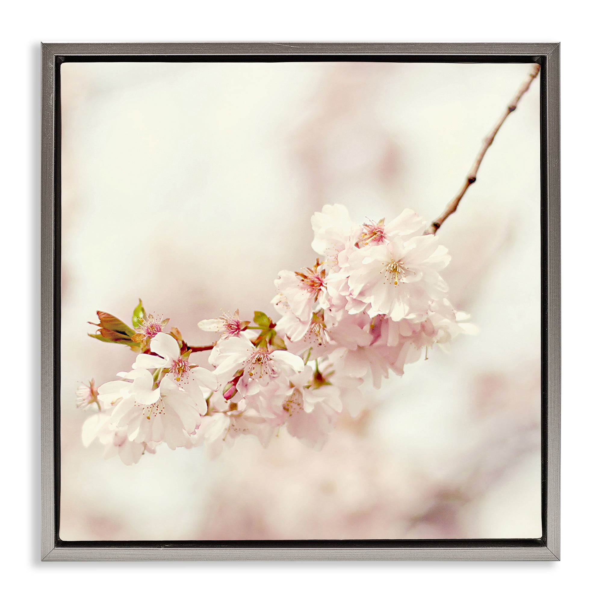 Stupell Industries Delicate Cherry Blossom Plants & Flowers Photography Gray Floater Framed Canvas Art Print Wall Art, 25 x 25