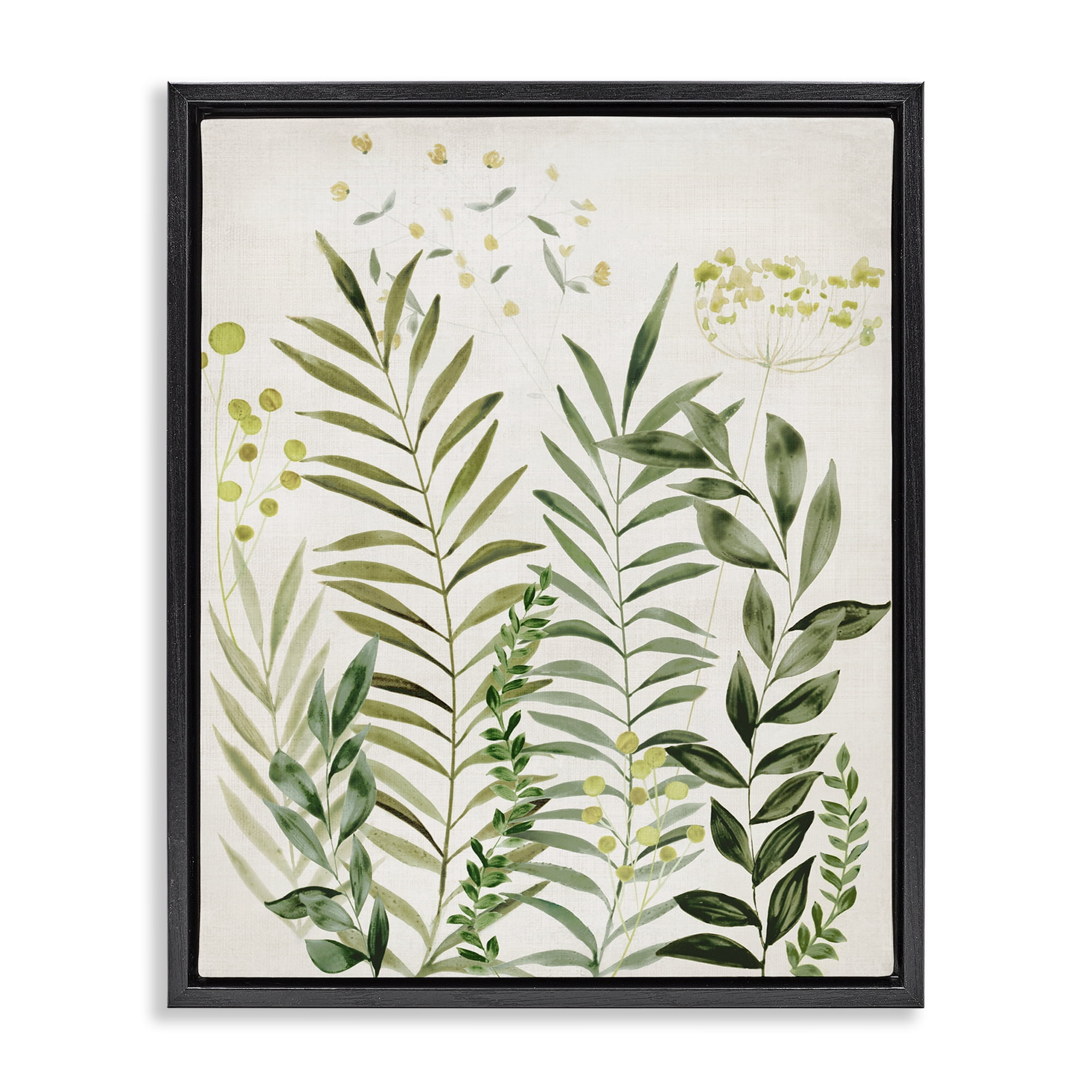 Stupell Industries Delicate Herbs & Leaves Plants & Flowers Painting Black Floater Framed Canvas Art Print Wall Art, 17 x 21