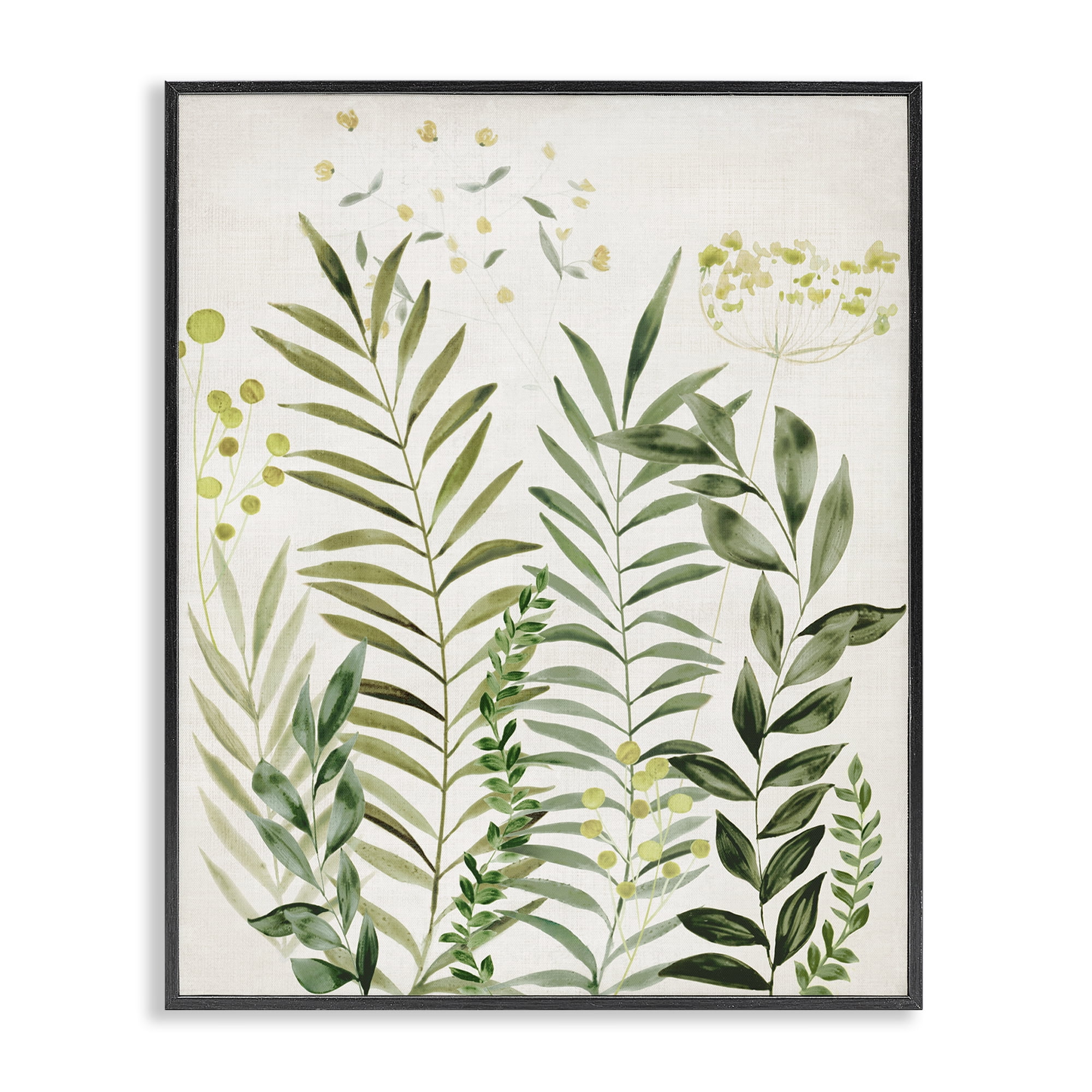Stupell Industries Delicate Herbs & Leaves Plants & Flowers Painting Black Framed Art Print Wall Art, 16 x 20