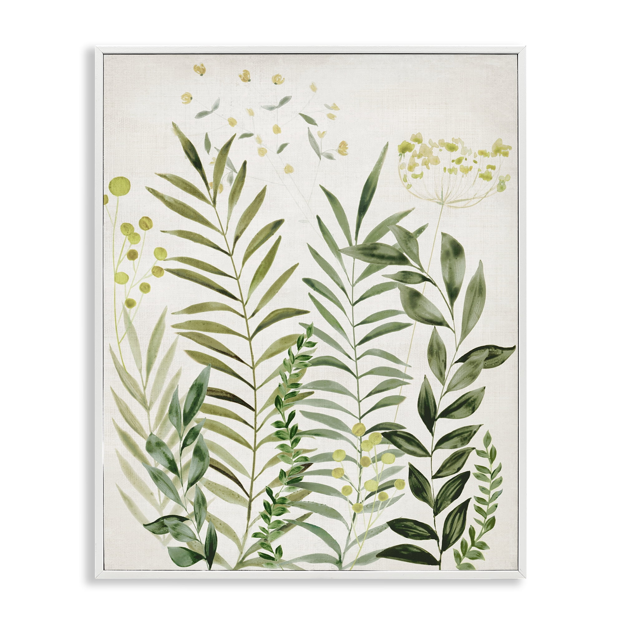 Stupell Industries Delicate Herbs & Leaves Plants & Flowers Painting White Framed Art Print Wall Art, 16 x 20
