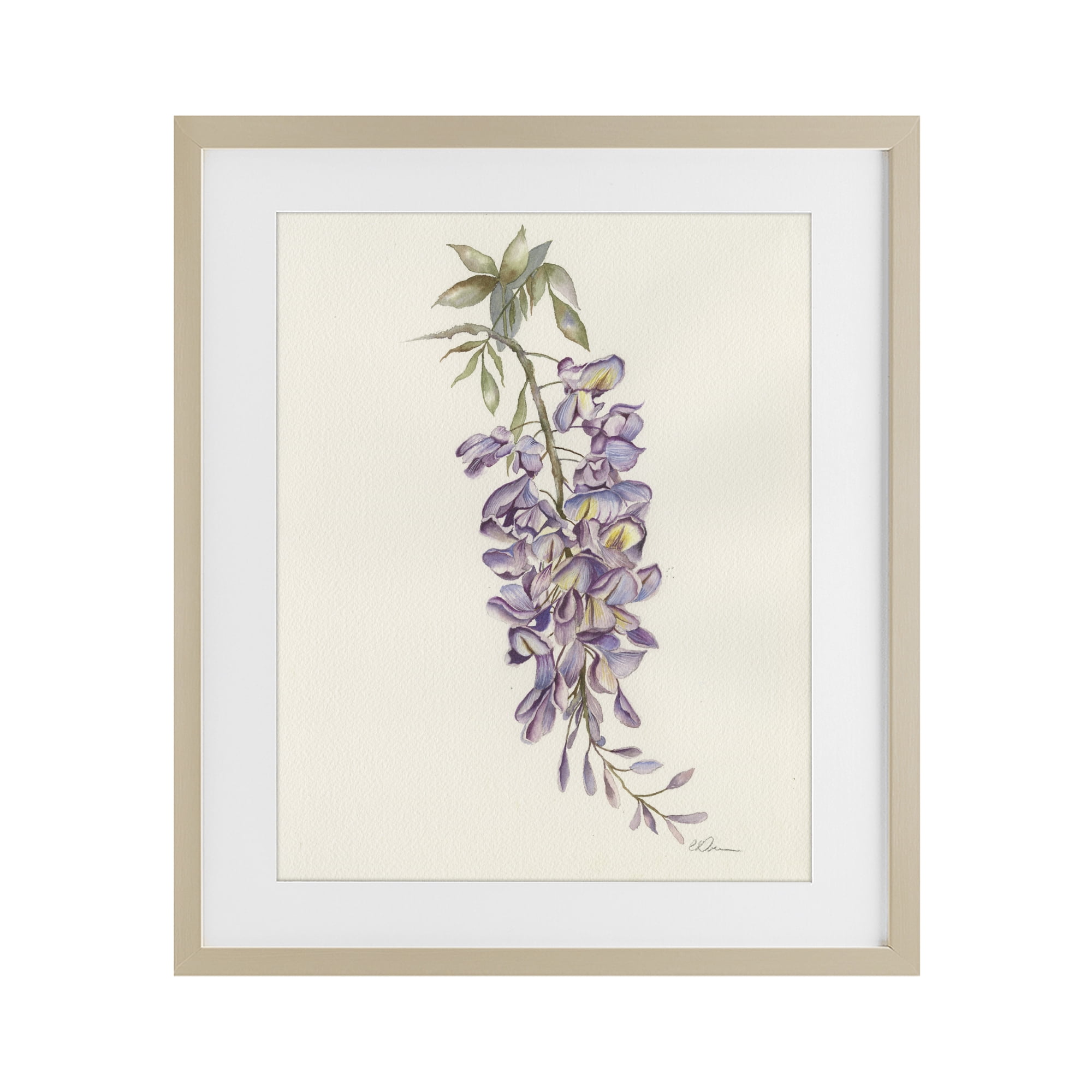 Stupell Industries Delicate Hyacinths Study Birch Framed Print Under Glass, design by Cady Driver