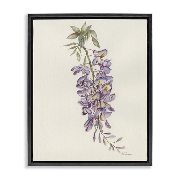 Stupell Industries French Country Delicate Hyacinths Study Black Floating Frame Canvas Art, 25 x 31, by Cady Driver