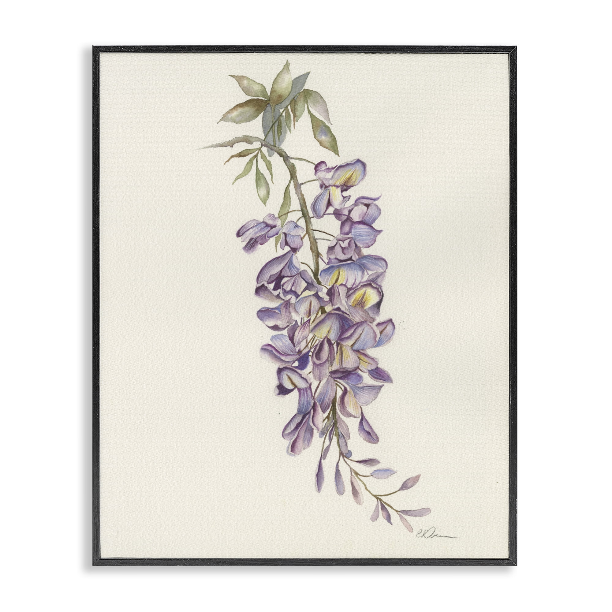 Stupell Industries Delicate Hyacinths Study Black Framed Giclee Art, design by Cady Driver