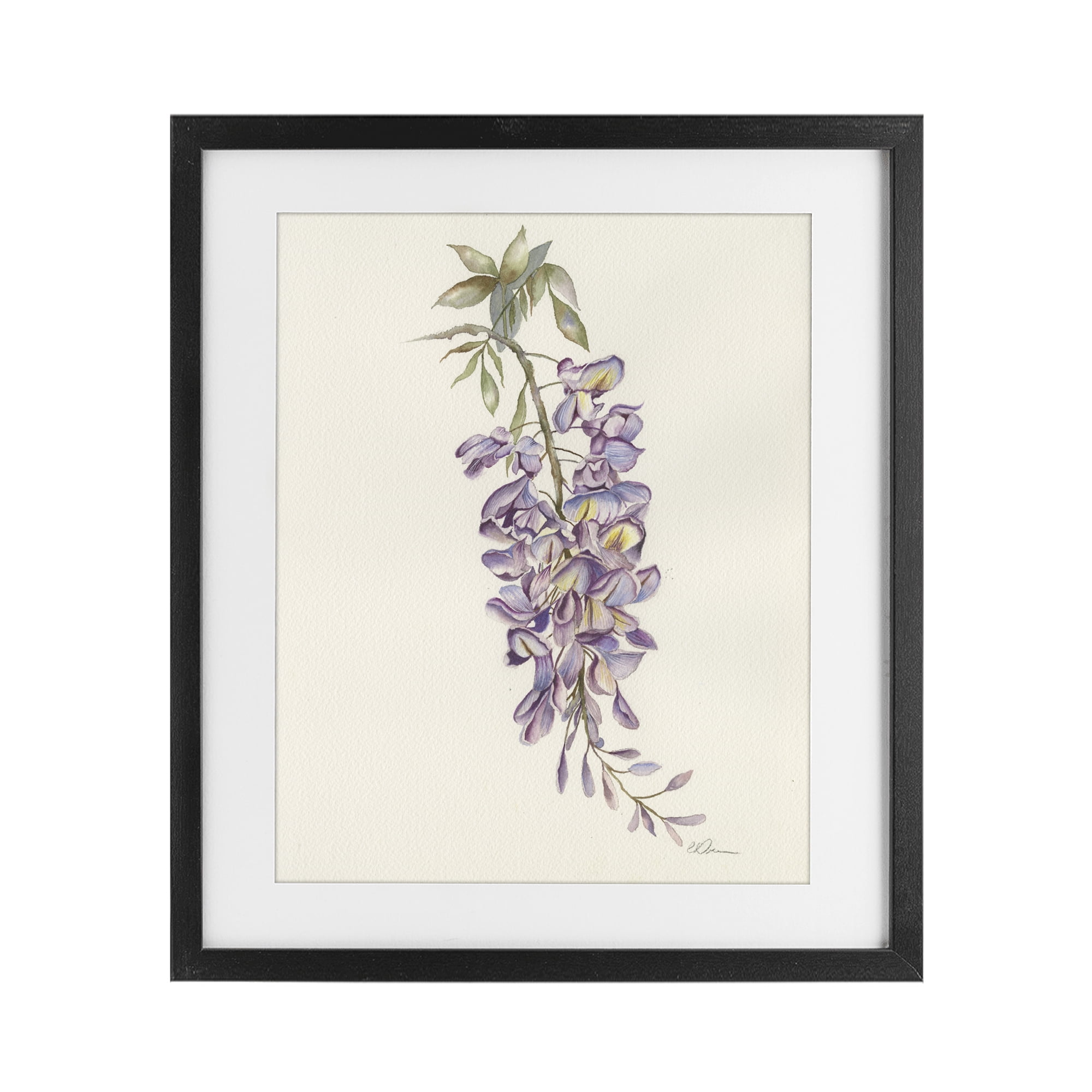 Stupell Industries Delicate Hyacinths Study Black Framed Print Under Glass, design by Cady Driver