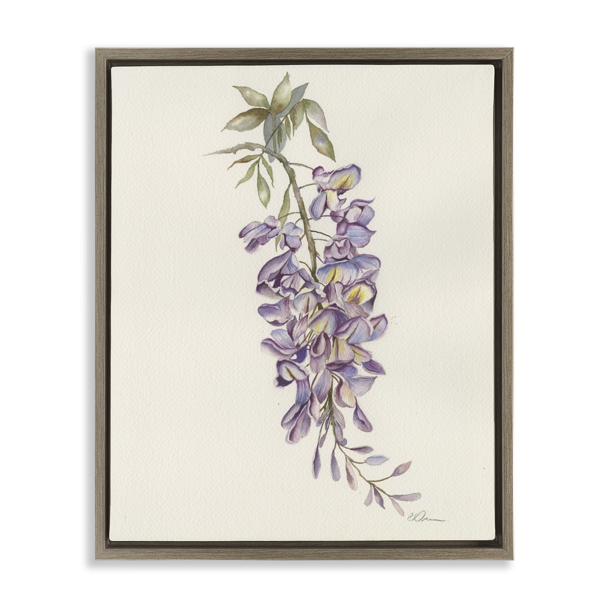 Stupell Industries Delicate Hyacinths Study Brown Framed Floater Canvas Wall Art, design by Cady Driver