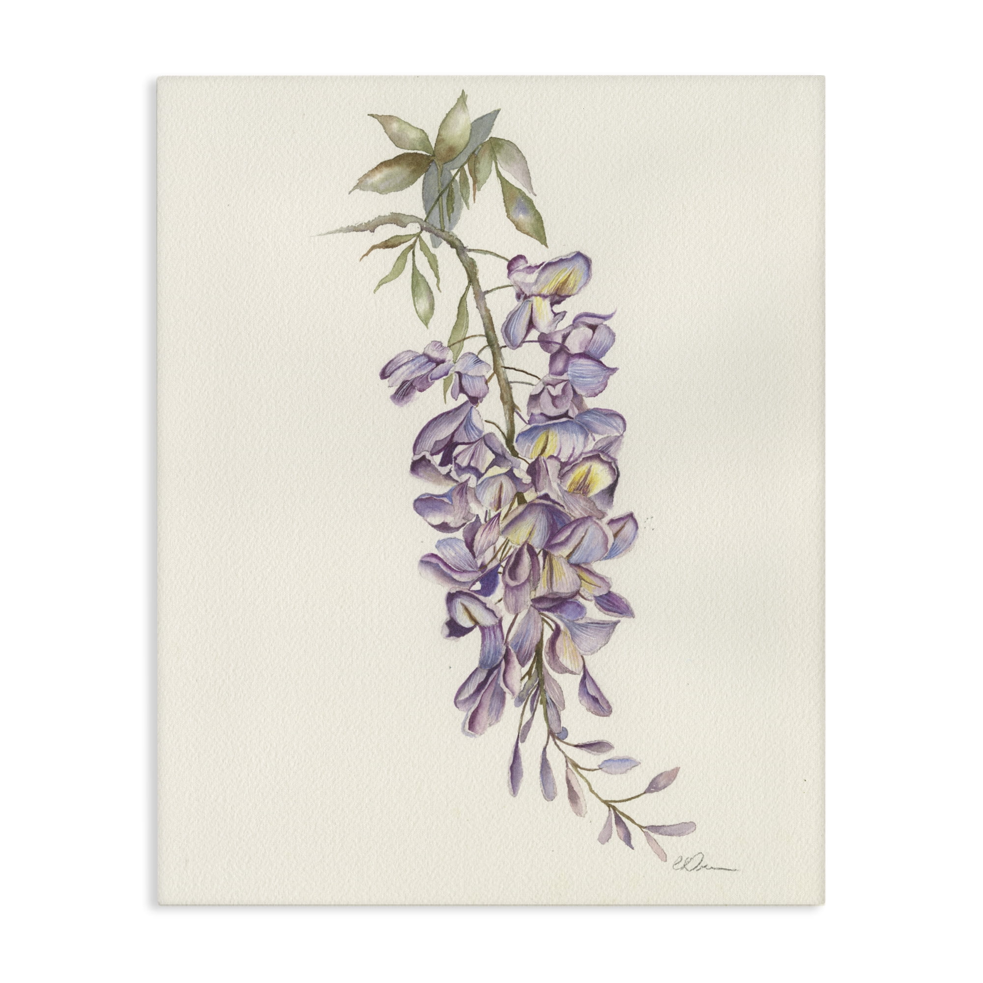 Stupell Industries Delicate Hyacinths Study Canvas Wall Art, design by Cady Driver