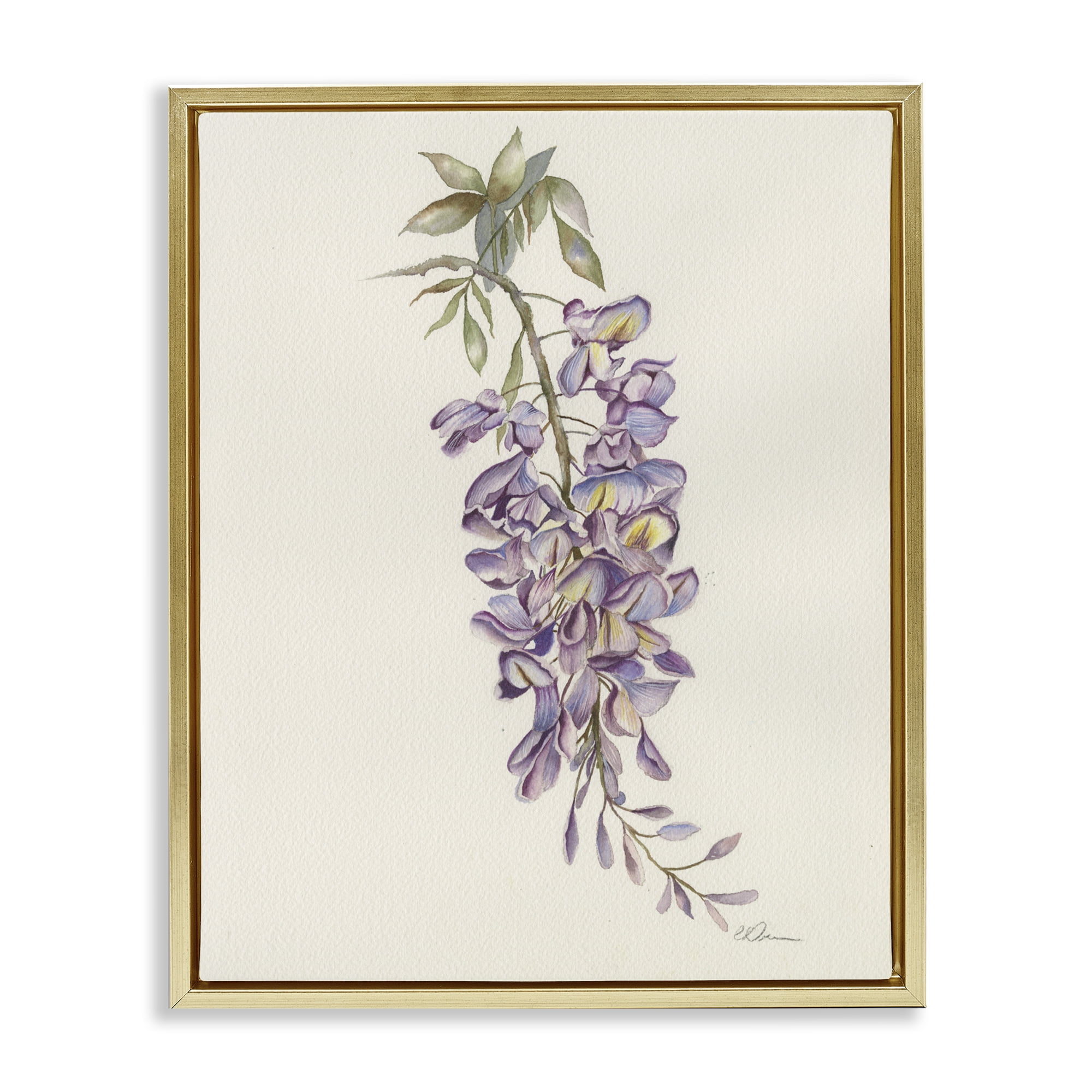 Stupell Industries Delicate Hyacinths Study Gold Framed Floater Canvas Wall Art, design by Cady Driver