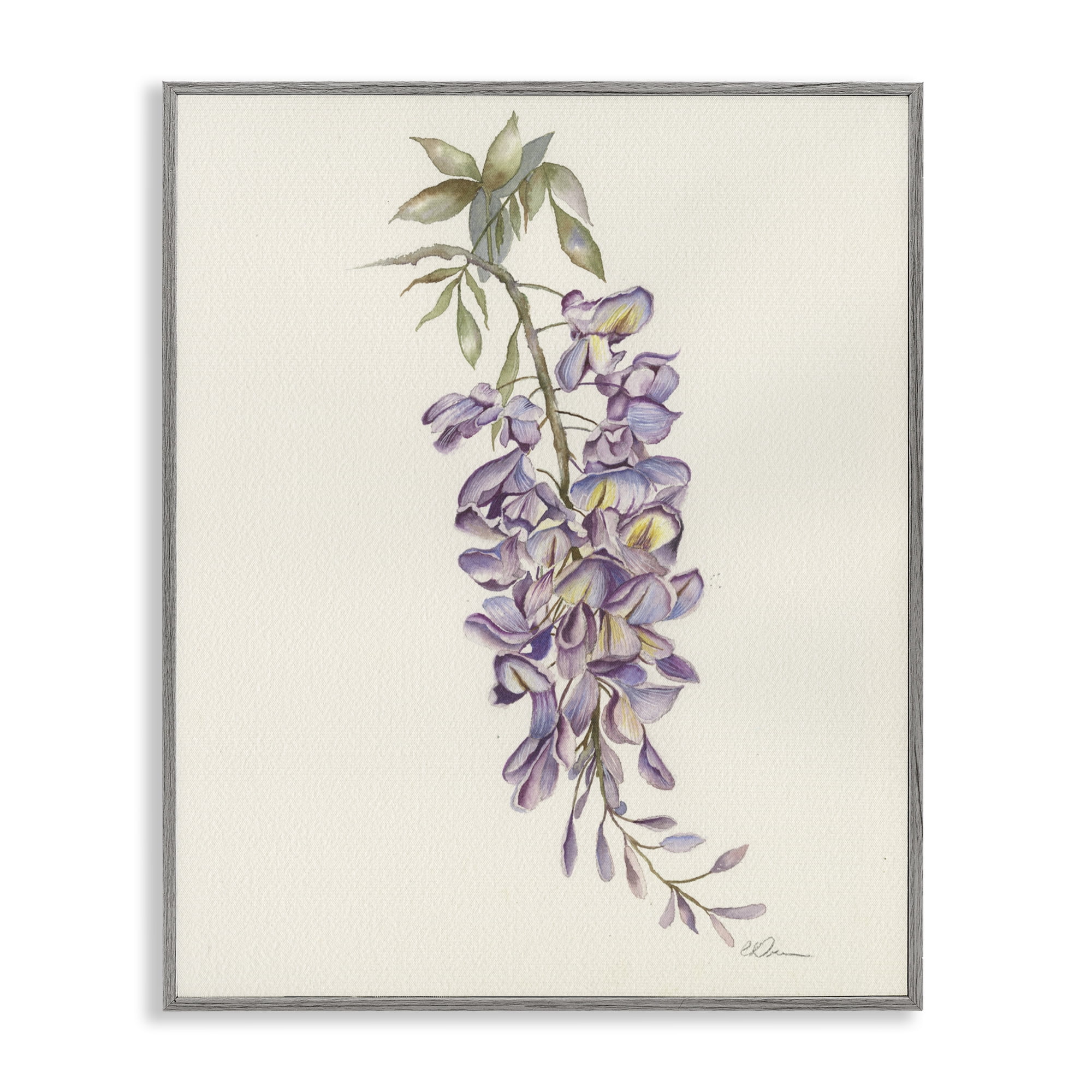 Stupell Industries Delicate Hyacinths Study Gray Framed Giclee Art, design by Cady Driver